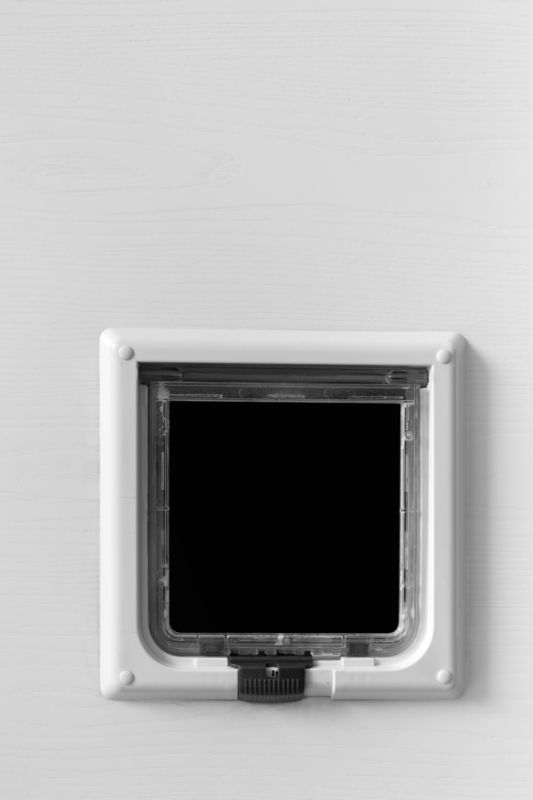 Wall Dog Door Installation